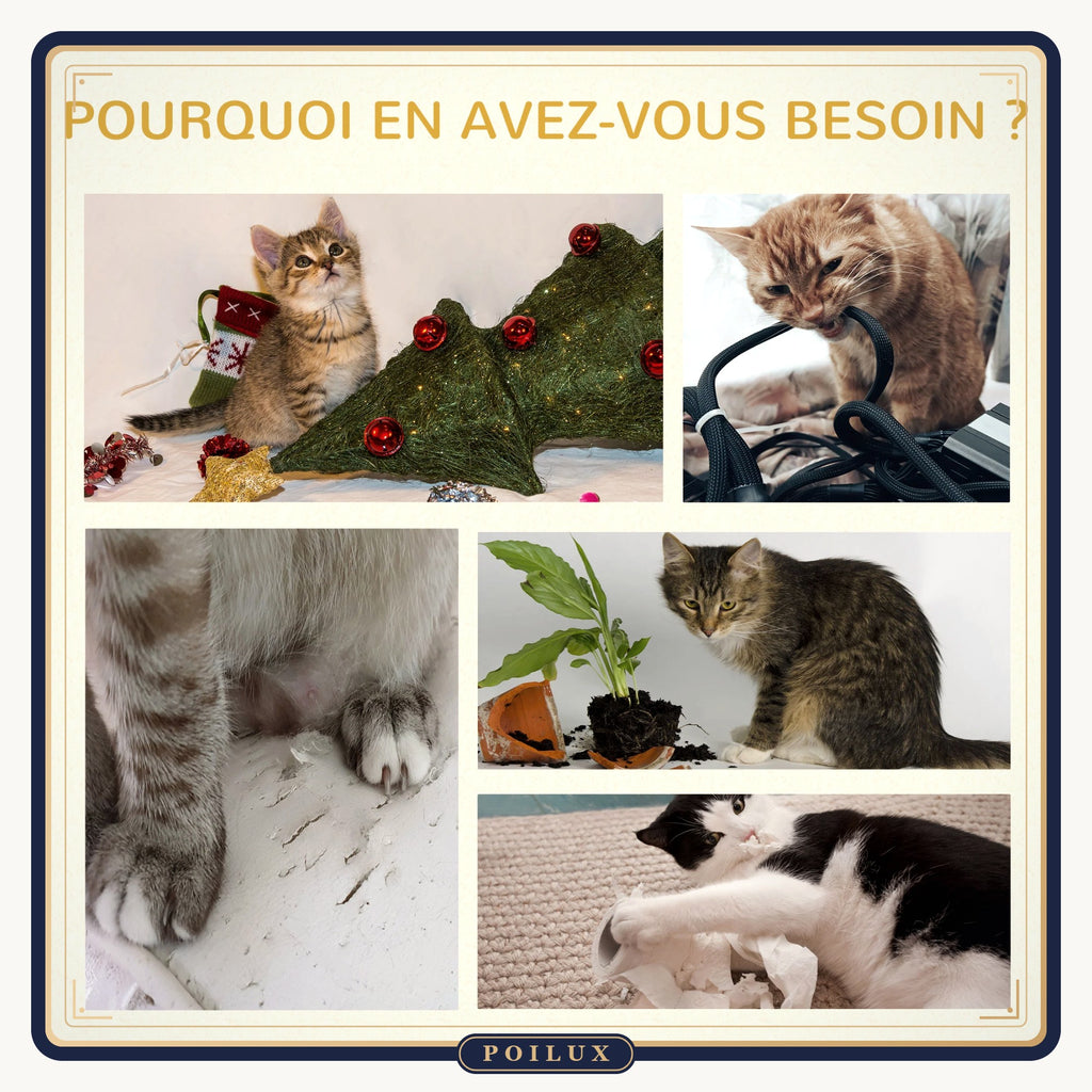 Arbre à chat 72 cm à paniers tressés – vue 5