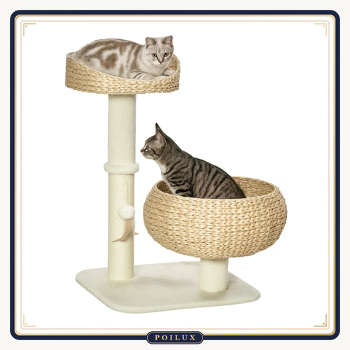 Arbre à chat 72 cm à paniers tressés et griffoir en sisal, sur fond blanc
