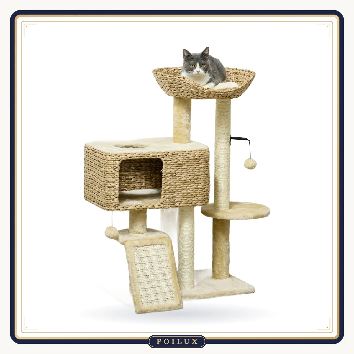 Arbre à chat 98 cm avec niche, panier d'observation et rampe griffoir, sur fond blanc
