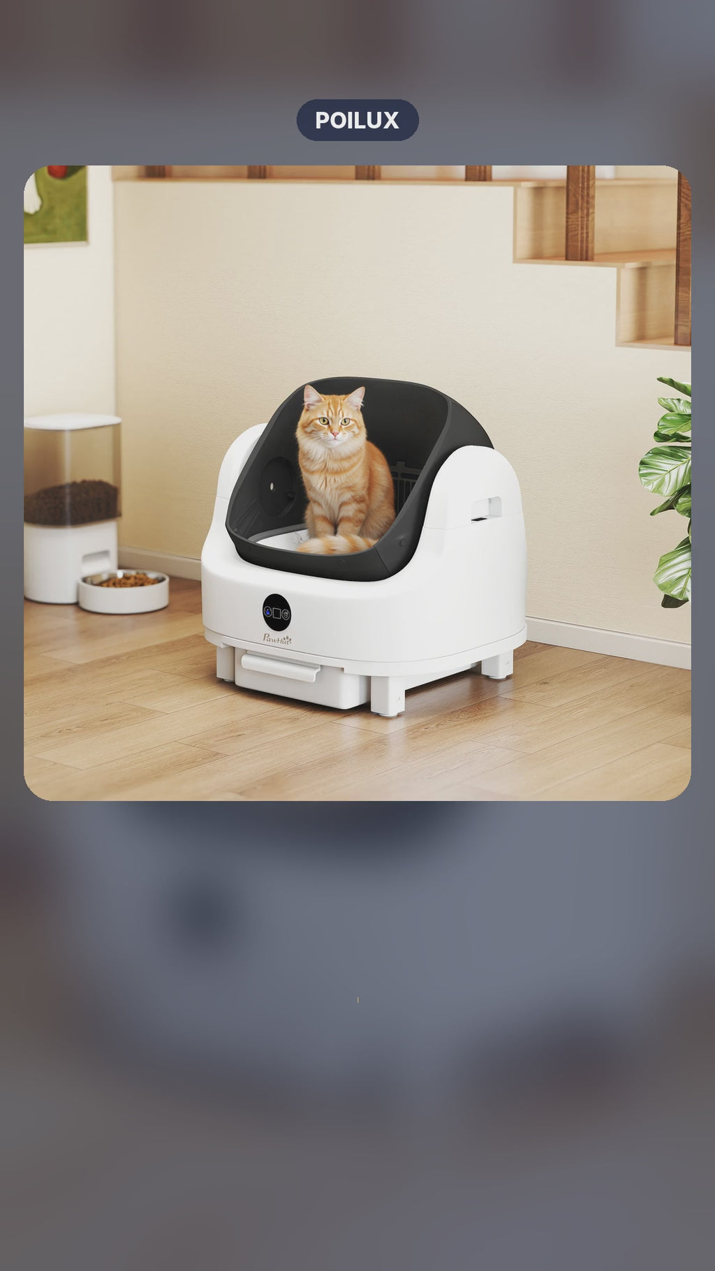 Litière automatique pour chat – Zéro corvée, zéro odeur