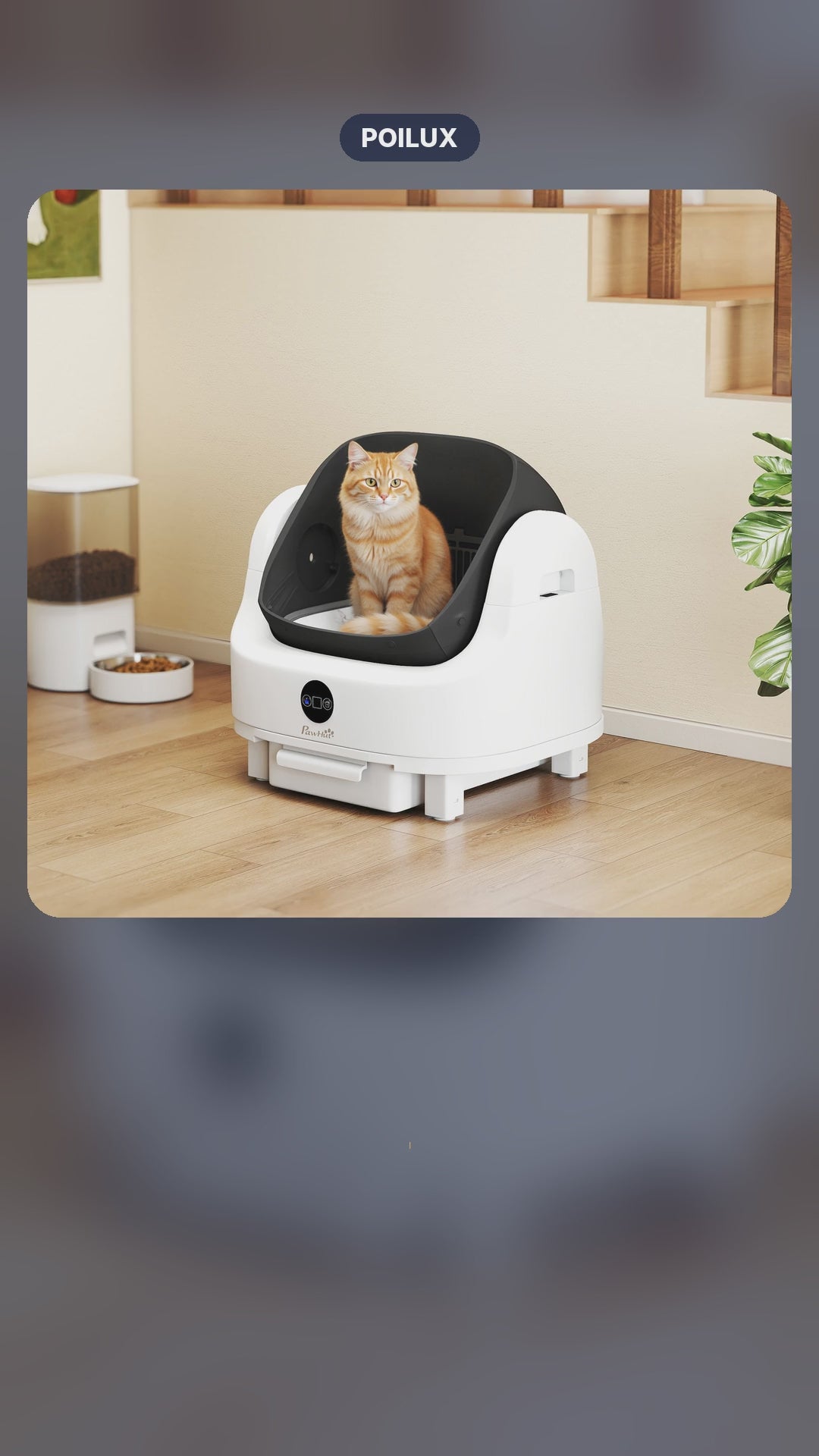 Litière automatique pour chat – Zéro corvée, zéro odeur